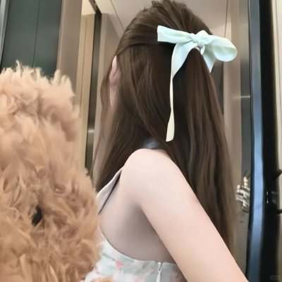公民哈维尔